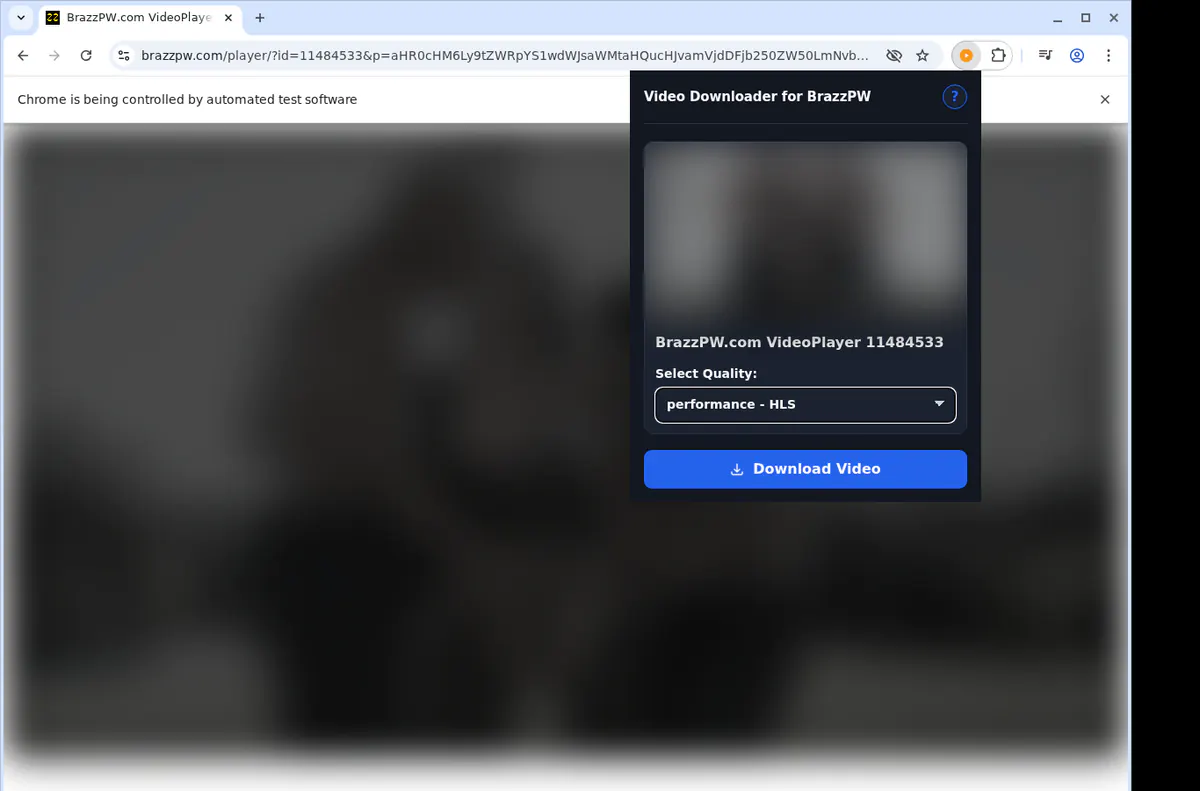 Brazzpw Video Downloader browser extension screenshot 3
